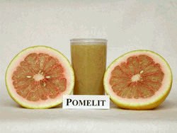 ‘波美利特’柚Pomelit pomelo